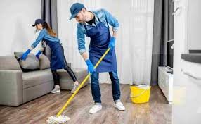 Cleaner at Archdiocese of Liverpool Cleaner at Archdiocese of Liverpool