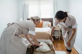 Domestic Cleaner at Maid2Clean