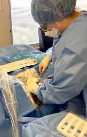 Trainee Vascular Access Practitioner: Sponsorship Available Trainee Vascular Access Practitioner: Sponsorship Available