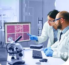 Anatomical Pathology Technician: Sponsorship Available