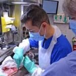 Anatomical Pathology Technician (APT): Sponsorship Available