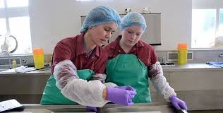 Anatomical Pathology Technologist: Sponsorship Available