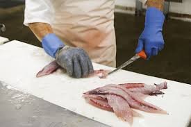 Fish Filleter – UK Visa Sponsorship Available