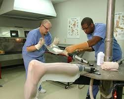 Senior Surgical Appliances Orthotic Assistant: Sponsorship Available